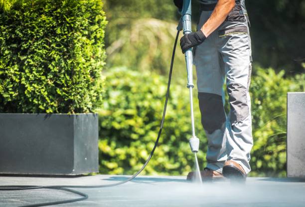 Best Gutter Cleaning  in Palatka, FL