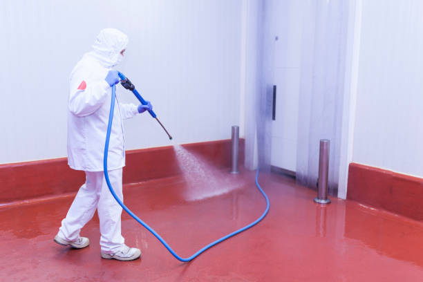 Best House Exterior Washing  in Palatka, FL