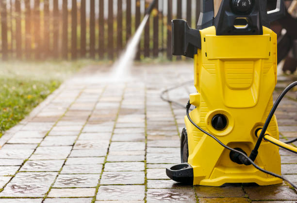 Best Animal Enclosure Cleaning  in Palatka, FL