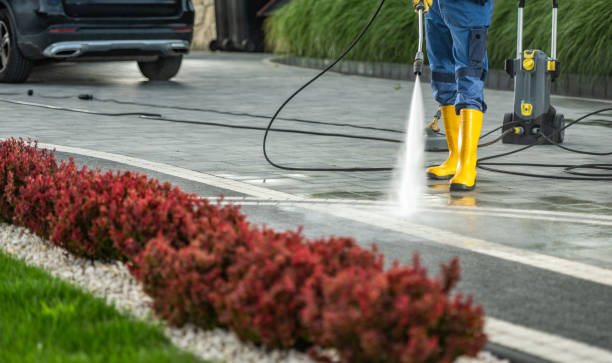 Best Driveway Pressure Washing  in Palatka, FL